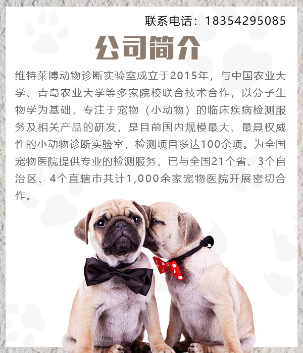 畜牧宠物病毒检测中心_广东动物PCR检测服务_维特莱博